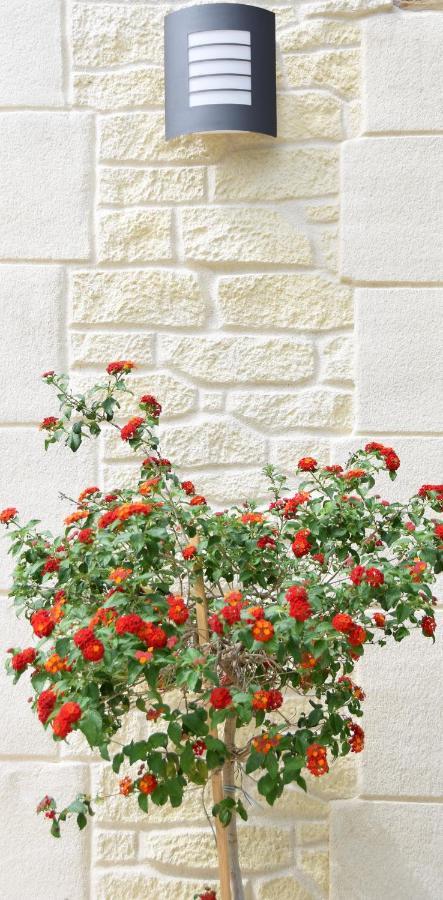Saint-Maximin  L'Atelier B&B 외부 사진