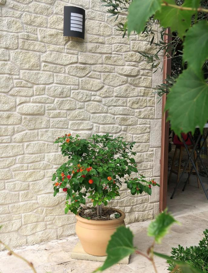 Saint-Maximin  L'Atelier B&B 외부 사진