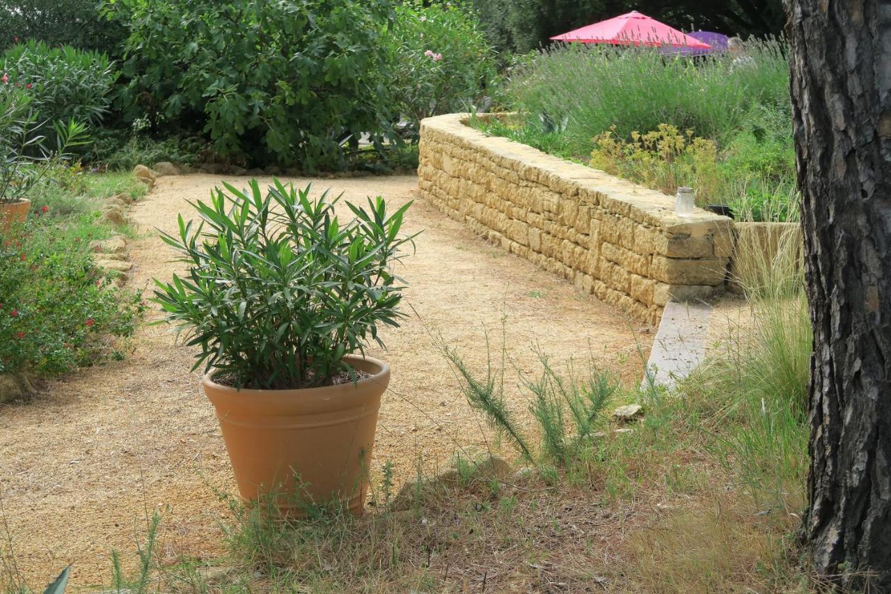 Saint-Maximin  L'Atelier B&B 외부 사진