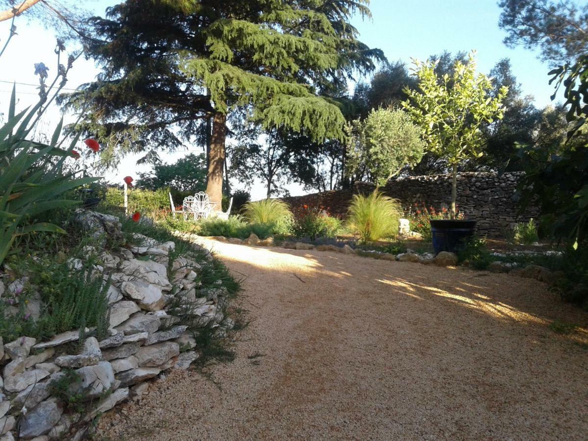 Saint-Maximin  L'Atelier B&B 외부 사진