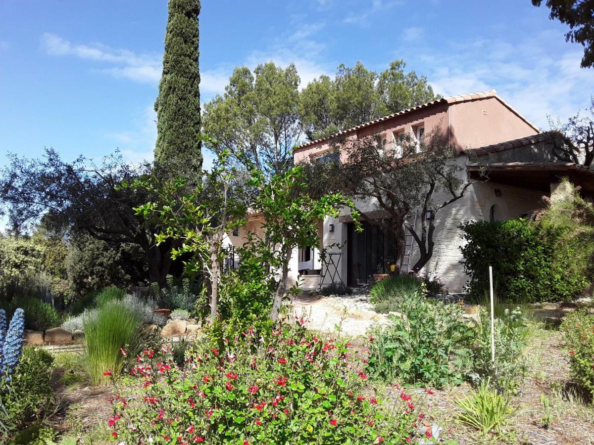 Saint-Maximin  L'Atelier B&B 외부 사진